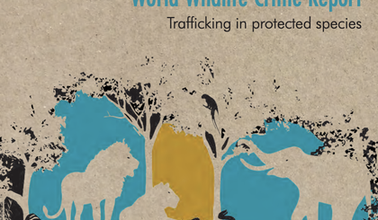 wildlife crime report 2020.jpg